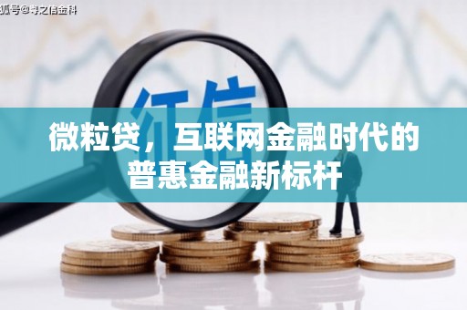 彭泽微粒贷，互联网金融时代的普惠金融新标杆