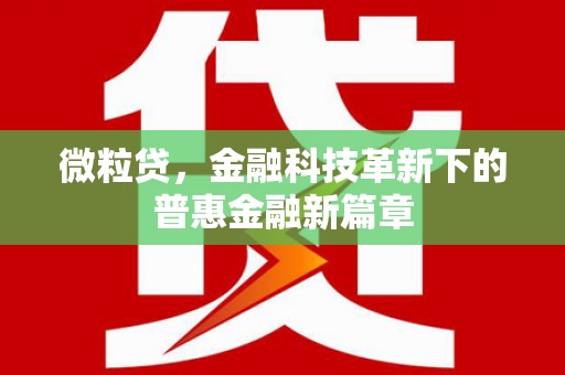 彭泽微粒贷，金融科技革新下的普惠金融新篇章