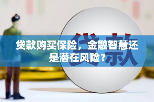 彭泽贷款购买保险，金融智慧还是潜在风险？