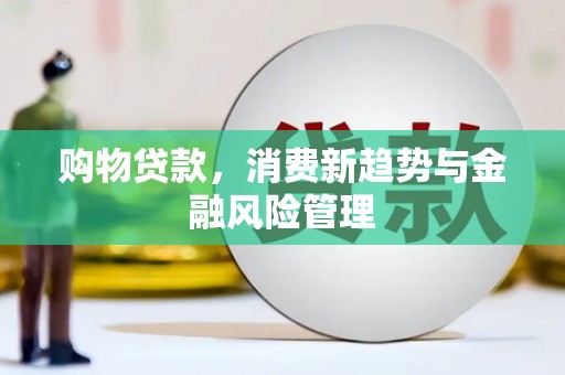 彭泽购物贷款，消费新趋势与金融风险管理
