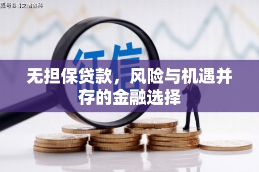 彭泽无担保贷款，风险与机遇并存的金融选择