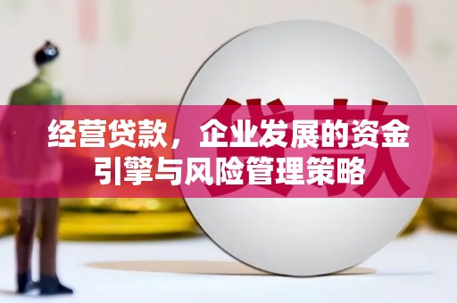 彭泽经营贷款，企业发展的资金引擎与风险管理策略