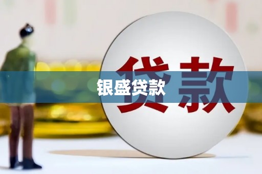彭泽银盛贷款