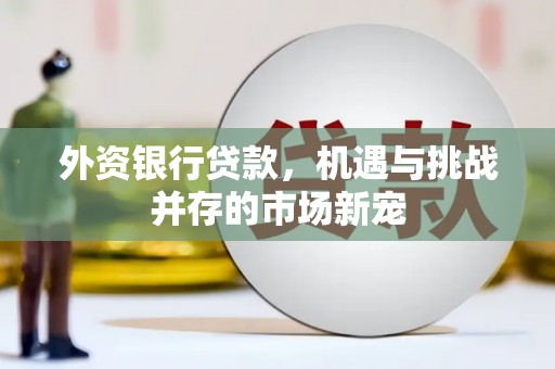 彭泽外资银行贷款，机遇与挑战并存的市场新宠
