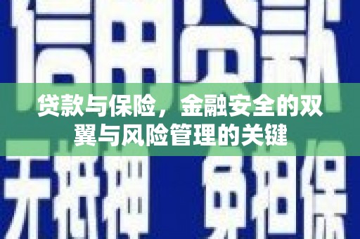 彭泽贷款与保险，金融安全的双翼与风险管理的关键