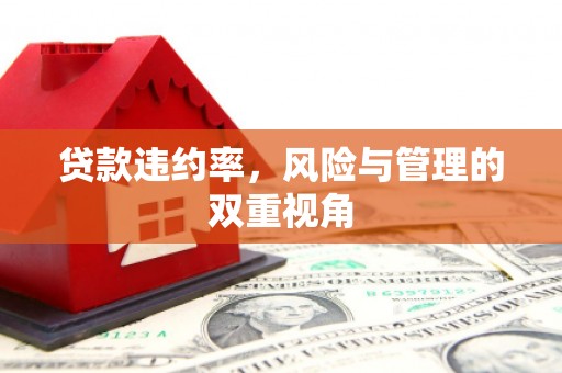 彭泽贷款违约率，风险与管理的双重视角