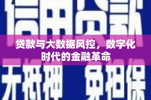 彭泽贷款与大数据风控，数字化时代的金融革命