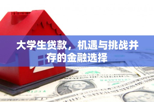 彭泽大学生贷款，机遇与挑战并存的金融选择