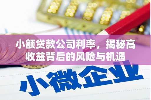 彭泽小额贷款公司利率，揭秘高收益背后的风险与机遇