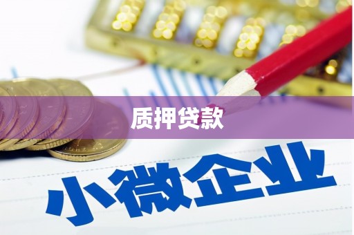 彭泽质押贷款