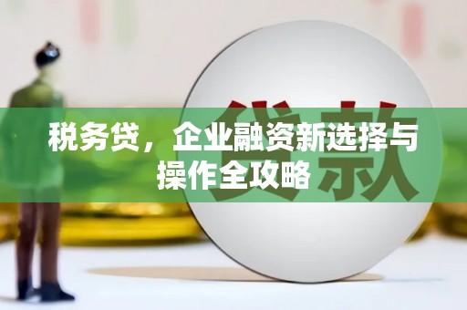 彭泽税务贷，企业融资新选择与操作全攻略