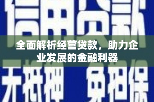 彭泽全面解析经营贷款，助力企业发展的金融利器