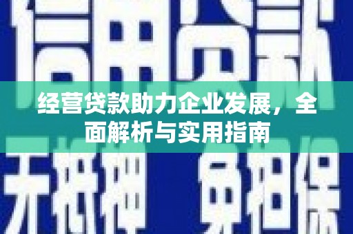 彭泽经营贷款助力企业发展，全面解析与实用指南