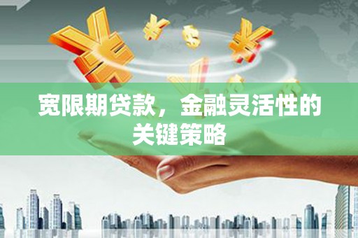 彭泽宽限期贷款，金融灵活性的关键策略