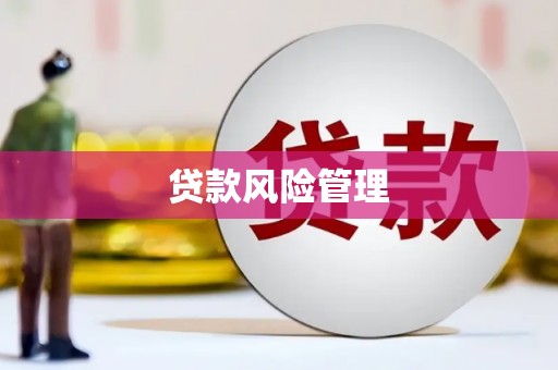 彭泽贷款风险管理