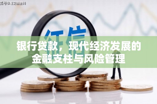 彭泽银行贷款，现代经济发展的金融支柱与风险管理