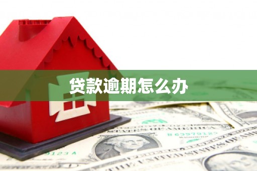 彭泽贷款逾期怎么办
