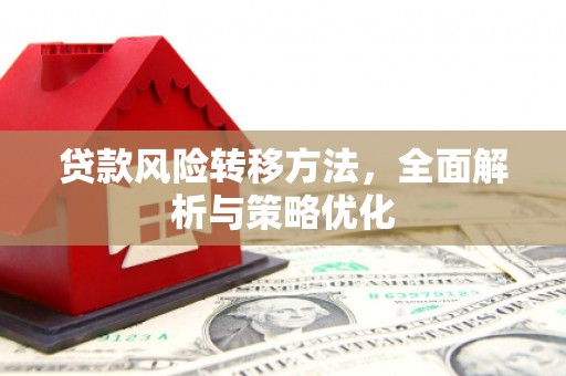 彭泽贷款风险转移方法，全面解析与策略优化