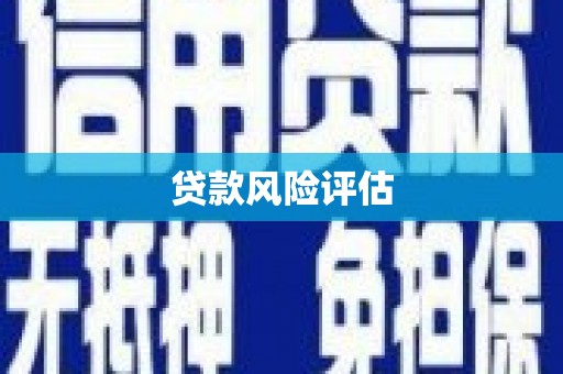 彭泽贷款风险评估