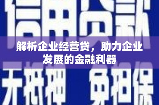 彭泽解析企业经营贷，助力企业发展的金融利器
