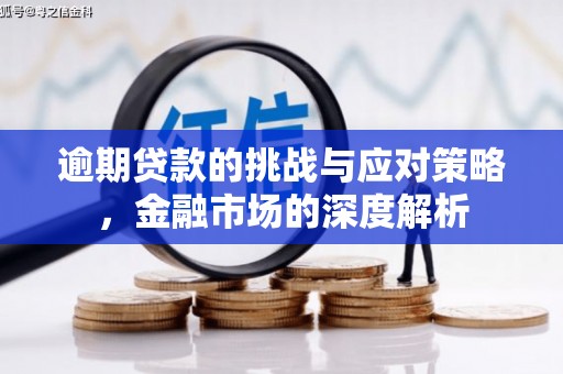 彭泽逾期贷款的挑战与应对策略，金融市场的深度解析