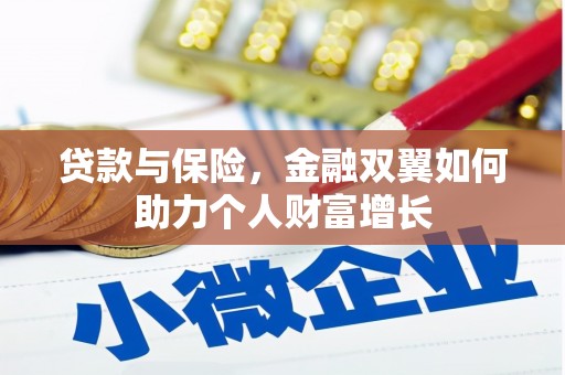 彭泽贷款与保险，金融双翼如何助力个人财富增长