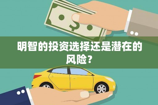 彭泽明智的投资选择还是潜在的风险？
