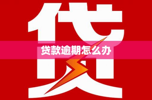 彭泽贷款逾期怎么办