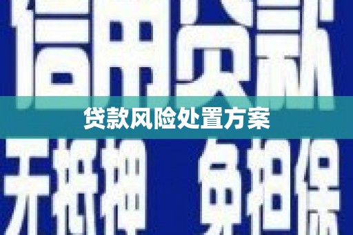 彭泽贷款风险处置方案