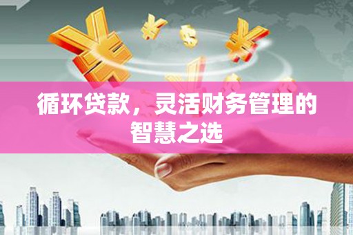 彭泽循环贷款，灵活财务管理的智慧之选