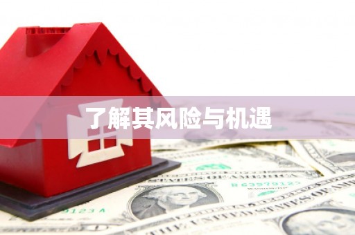 彭泽了解其风险与机遇