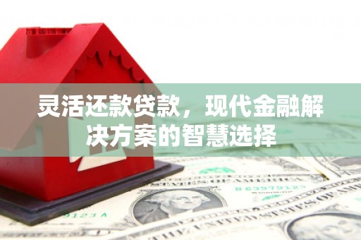 彭泽灵活还款贷款，现代金融解决方案的智慧选择