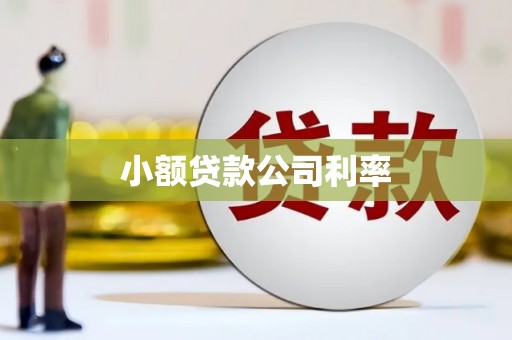 彭泽小额贷款公司利率