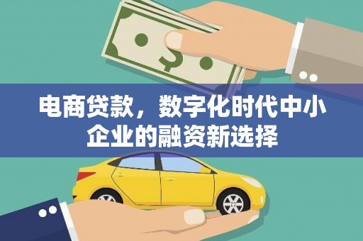 彭泽电商贷款，数字化时代中小企业的融资新选择