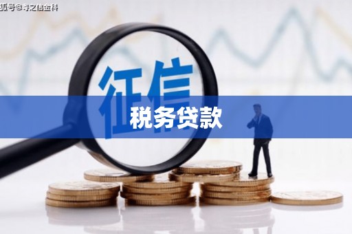 彭泽税务贷款