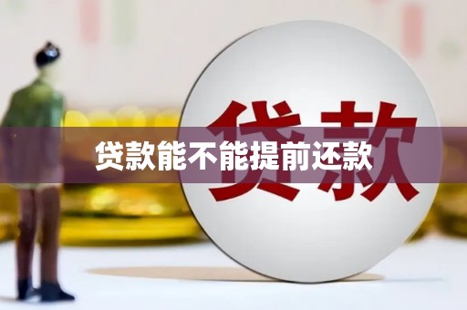 彭泽贷款能不能提前还款