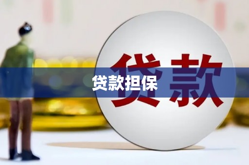 彭泽贷款担保