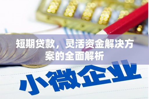 彭泽短期贷款，灵活资金解决方案的全面解析