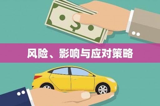 彭泽风险、影响与应对策略