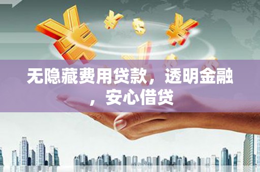 彭泽无隐藏费用贷款，透明金融，安心借贷