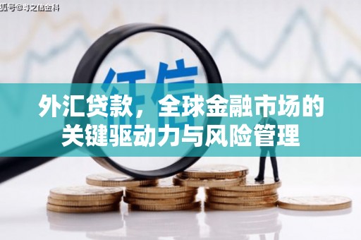 彭泽外汇贷款，全球金融市场的关键驱动力与风险管理