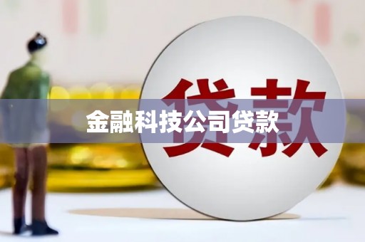 彭泽金融科技公司贷款