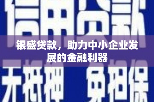 彭泽银盛贷款，助力中小企业发展的金融利器