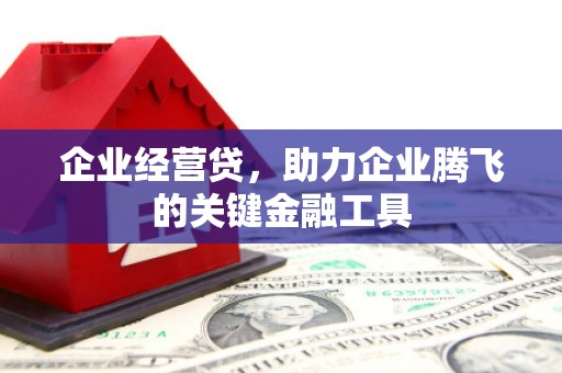 彭泽企业经营贷，助力企业腾飞的关键金融工具