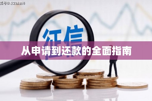 彭泽从申请到还款的全面指南