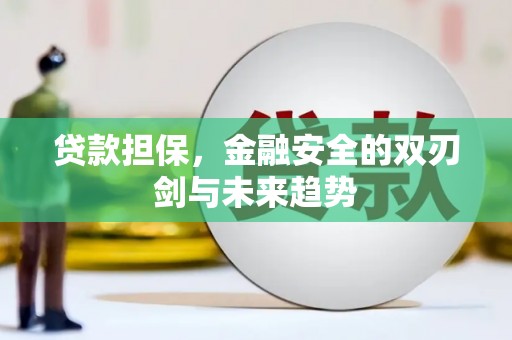 彭泽贷款担保，金融安全的双刃剑与未来趋势