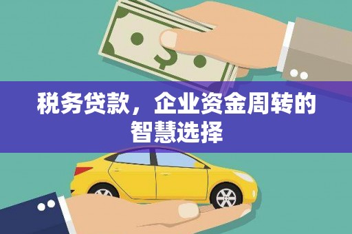 彭泽税务贷款，企业资金周转的智慧选择