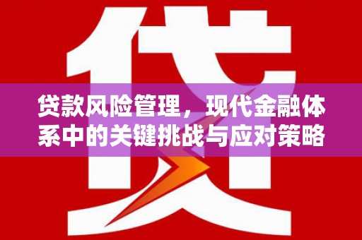 彭泽贷款风险管理，现代金融体系中的关键挑战与应对策略