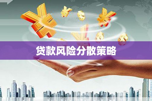彭泽贷款风险分散策略