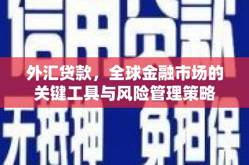 彭泽外汇贷款，全球金融市场的关键工具与风险管理策略